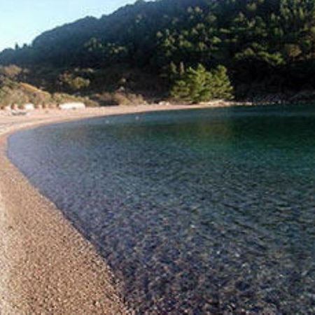 Apartments & Rooms M Petrovac Екстериор снимка