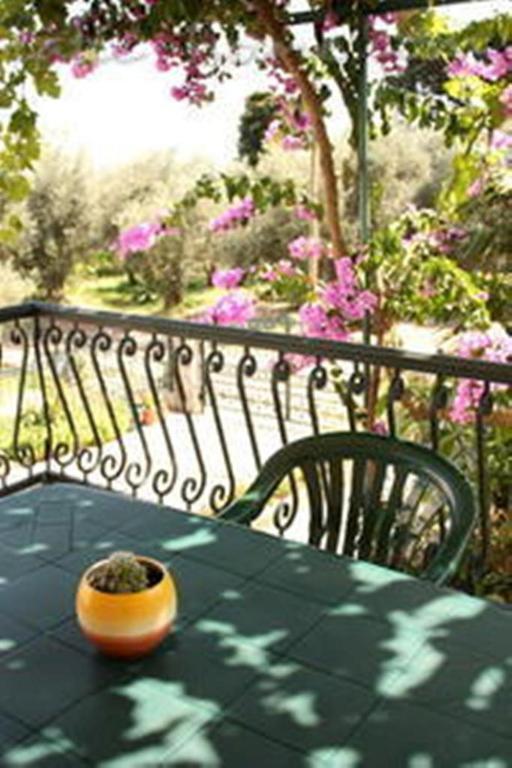 Apartments & Rooms M Petrovac Екстериор снимка