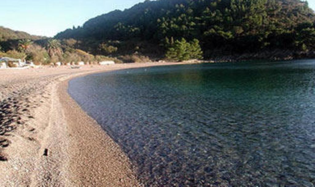 Apartments & Rooms M Petrovac Екстериор снимка